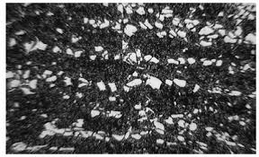 Image result for bulat steel micrograph