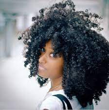 Pin On Natural Inspiration Protective Styles