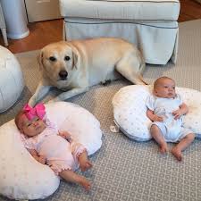 Can This Pup Join In On Twinningtuesday Too Thanks For Sharing Your Lovemypbk Moment Wynn And Harris Criancas Gemeas Fotos De Bebes Ideias De Bebe