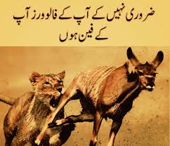 It S Not Necessary That Your Followers Will Always Be Your Fans Urdu Funny Poetry Sufi Quotes Poetry Quotes In Urdu