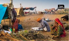 نتیجه جستجوی لغت [nomadic] در گوگل