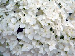 근로자 대상 안심대출 저금리 금융센터