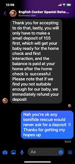 English cocker spaniel rehoming centre …. Contacted about a pup they have 