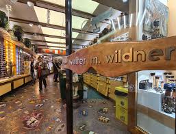 Karl Mayer Wildner: Paradiesvogel mit Durchblick