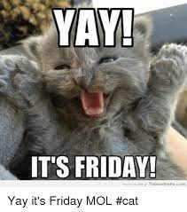 We did not find results for: It S Friday Find Funny Stuff At Thinknsmilecom Yay It S Friday Mol Cat Friday Meme On Me Me