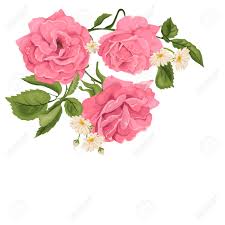 These 8 large and fluffy blooms are in great demand for wedding work and make beautiful arrangements. Flower Pink Rose Green Leaves Wedding Concept Floral Poster Royalty Free Cliparts Vectors And Stock Illustration Image 110469769