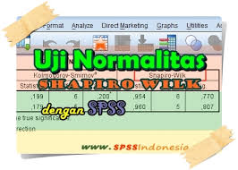 Cara Uji Normalitas Shapiro Wilk Dengan Spss Lengkap Spss Indonesia