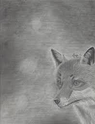 How to draw a fox with colored pencil. Red Fox Realistic Drawing Sage C Drawings Illustration Animals Birds Fish Fox Artpal