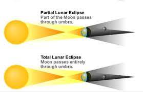 The sun will remain partially visible as a crescent shape in the sky. Q 4 Draw And Label The Diagrams 1 Total And Partial Solar Eclipse 2 Total And Partial Lunar Eclipse