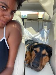 Found: 7-8 month old neutered puppy for owner