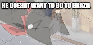 He Doesn T Want To Go To Brazil You Re Going To Brazil Know Your Meme