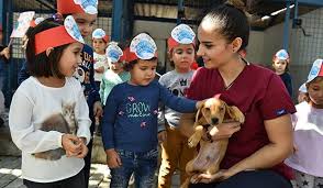 Izmir De Kopek Sahiplendirme Ve Rehabilitasyon Merkezi Kuruluyor