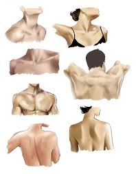 How to draw female anime legs tutorial. Neck And Shoulders Study By Crazy Lunar Girl On Deviantart Girl Anatomy Drawing Necks And Shoulders Human Anatomy Art