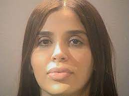 The wife of infamous mexican drug lord joaquín el chapo guzmán has pleaded guilty to a range of charges including conspiracy to distribute illegal drugs. El Chapo S Wife Pleads Guilty To Drug Trafficking Charges Admits Helping Run Criminal Empire Abc News