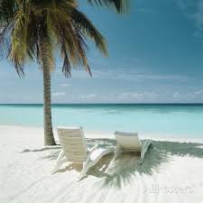Palm Tree And Beach Chair Photographic Print At Allposters Com Beach Landscape Island Vacation Tropical Beaches