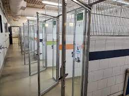 Below is a list of all available pets. Miracles Happen A St Louis Animal Shelter Has Placed All Available Pets Arts Blog