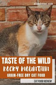Taste Of The Wild Rocky Mountain Grain Free Dry Cat Food Review Oliveknows Dry Cat Food Cat Food Reviews Cat Food