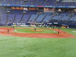 The site owner hides the web page description. 2019å¹´ç¤¾ä¼šäººé‡Žçƒæ—¥æœ¬é¸æ‰‹æ¨© æ—¥ç¨‹ çµ„ã¿åˆã‚ã› å‡ºå ´ãƒãƒ¼ãƒ  ãƒ‰ãƒ©ãƒ•ãƒˆä¼šè­°æŒ‡åé¸æ‰‹ Various Contents