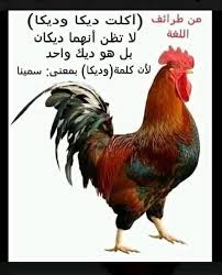 Pin By Sam Sami On لهذا أحب لغتي Beautiful Arabic Words Funny Arabic Quotes Arabic Language