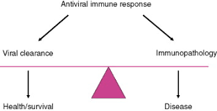 Image result for Infectivity