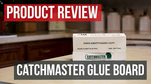 Arbico organics carries traps for fleas, gnats, house flies, cockroaches, ants, moths and other common home pests. Catchmaster Glue Boards Product Review Youtube