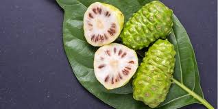 Area kulit yang paling mungkin tumbuh bagi yang pernah mengalami bisul, tentu tahu rasanya sakit nyeri yang ditimbulkannya. Hilangkan Bisul Menyakitkan Di Payudara Dengan 2 Resep Herbal Ini Deherba Com