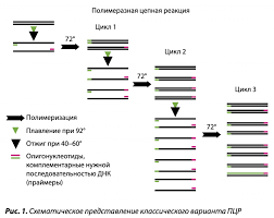Combine lab id,flight pass or id/passport with other field/s. Izotermicheskaya Pcr Obzor Metoda Diagnostiki Infekcij Rastenij
