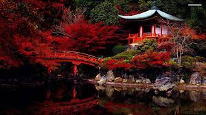 14.04.201714.12.2017 adminartistic, earth, photography, top. Cool Japanese Hd Desktop Wallpapers Top Free Cool Japanese Hd Desktop Backgrounds Wallpaperaccess