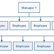 Companies With Wide Span Of Control Download Scientific