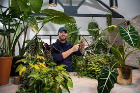 Naším cílem je dodat do vašich. Z Obyvaku Si Udelal Dzungli Listy Vzacne Rostliny Prodava Za Tisice Liber Novinky Cz