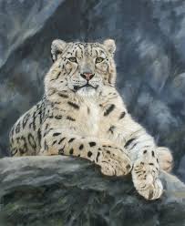 Snow Leopard Painting By David Stribbling Big Cats Art Snow Leopard Art Leopard Painting