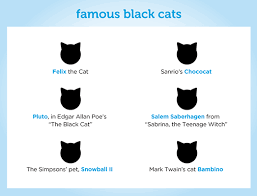 Why We Love Black Cats