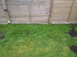 Image result for site:byggahus.se rullgräs