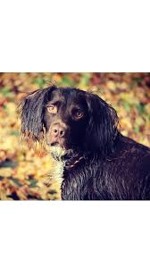 Profile for Shannon Benstead