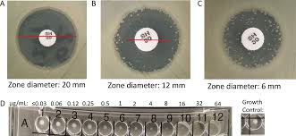 Image result for Cefiderocol