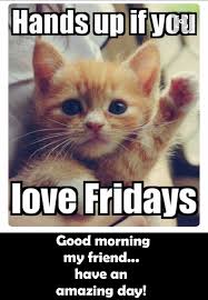 Checkout happy friday memes who give you joy, fun, happy life, and it makes us laughed. Funny Good Morning Friday Meme Loveimageswallpaper