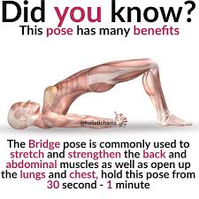 Follow Holistichamz For Holistic Tips Bridge Pose Is Also Called Tradionally Called Setu Bandha Sarvangasana Benefit Yoga Fitness Easy Yoga Health Fitness