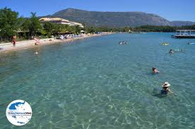 Ο 60χρονος δράστης αυτοκτόνησε με την κυνηγετική καραμπίνα. Dassia Korfu Urlaub In Dassia Griechenland