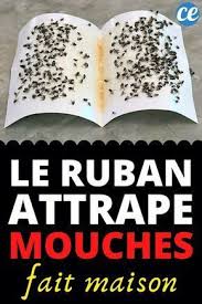 Voici Comment Fabriquer Un Attrape Mouche Maison Qui Est Naturel Et Efficace Ce Tue Mouche Diy Est Facile Et Rapi En 2020 Attrape Mouche Attrape Mouche Maison Mouches