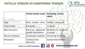 Pin On Musculoskeletal System Nptestudybuddy Dubai Khalifa