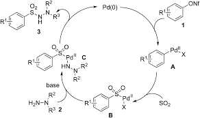 2a2 science blog online lesson chemical bonding done by. A Palladium Catalyzed Coupling Reaction Of Aryl Nonaflates Sulfur Dioxide And Hydrazines Organic Biomolecular Chemistry Rsc Publishing