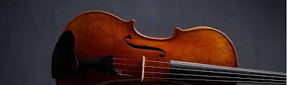 نتیجه جستجوی لغت [viola] در گوگل