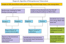 Image result for Extrapulmonary Tuberculosis