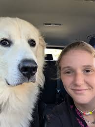 Little Holden Tuexdix is officially 100 pounds already!