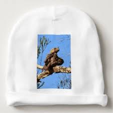 Tawny Frogmouth Rural Queensland Australia Baby Beanie Cute Baby Beanies Lovely Babies Australia Hat Baby Beanie Queensland Australia