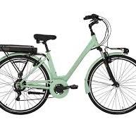 Fat Tire Frame Telaio Ebike Motore Shimano Bici Elettrica ALPINA A3 ATHENA 28" Bike Cargo