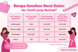 Identitas keterangan istri suami nama umur pekerjaan agama suku/bangsa. Kenaikan Berat Badan Ibu Hamil Yang Normal Tiap Semester