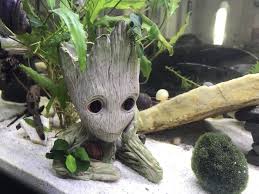 We did not find results for: 10 Unique Aquarium Decoration Ideas To Revamp Your Fish Tank