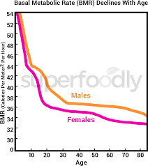 Basal Metabolic Rate Decline Rate Chart For Male And Female