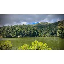 Doris Olvera (@doris_olveraa) • Instagram photos and videos